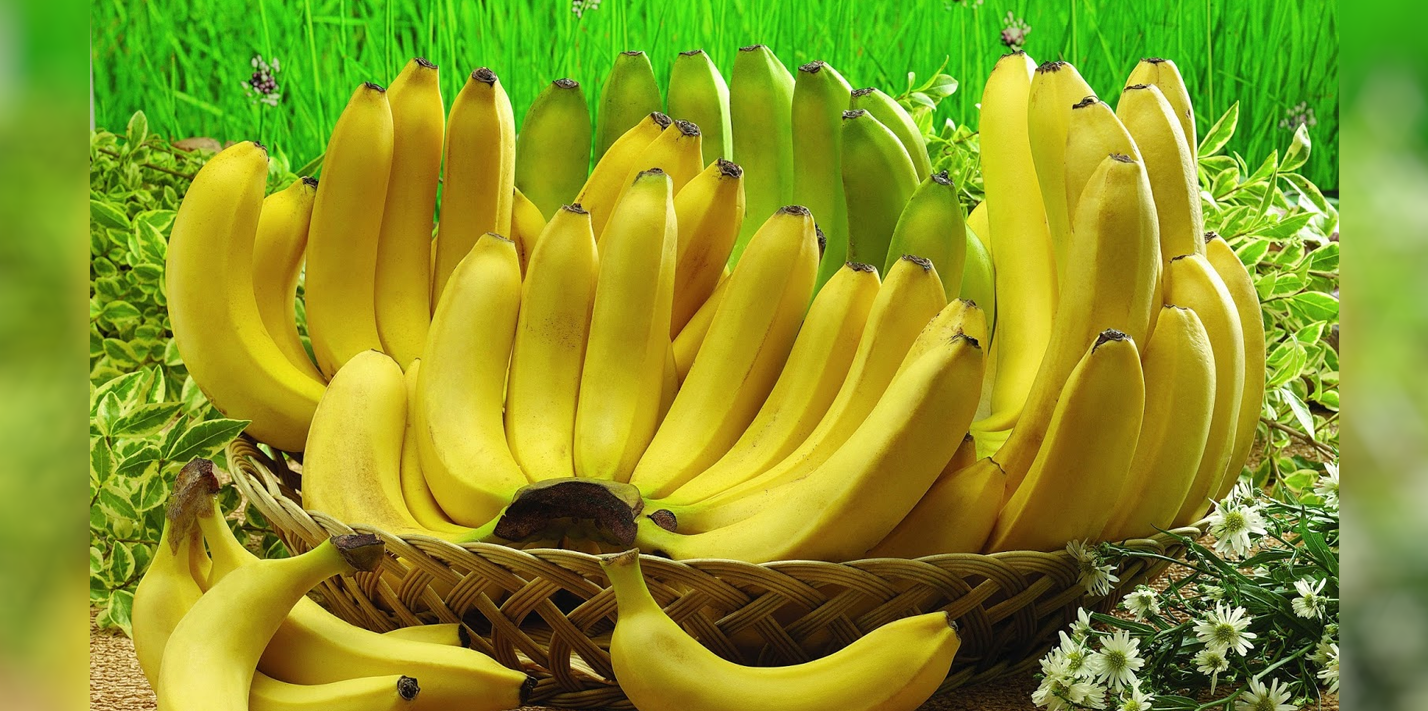 Tidak Hanya Lezat, Buah Pisang Mengandung Banyak Manfaat Bagi Kesehatan